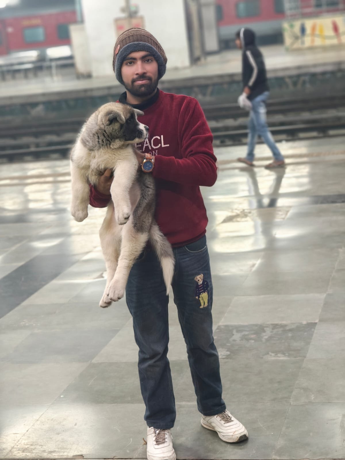 Pet transport photo 3